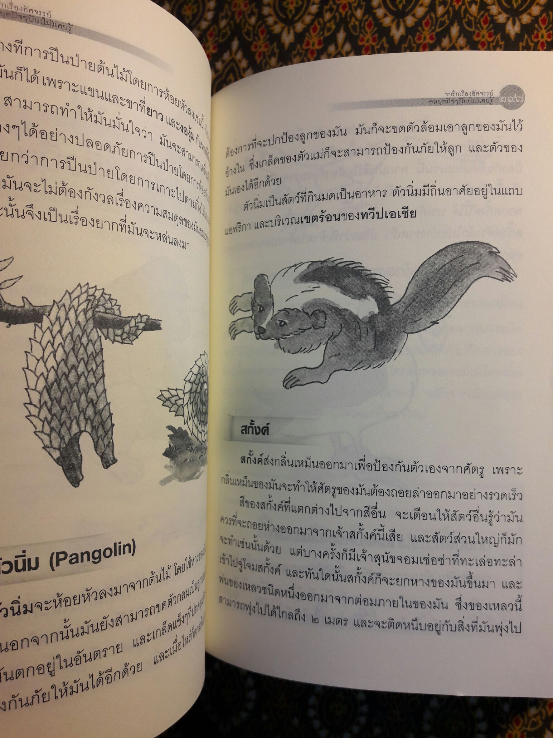 จารึกเรื่องอัศจรรย์ คนยุคปัจจุบัน (ไม่) เคยรู้