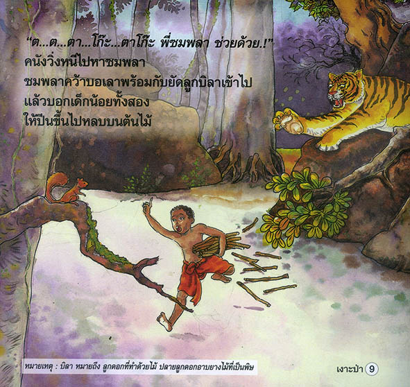 เงาะป่า