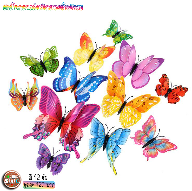 ชุดผีเสื้อ 3 มิติ ปีก2ชั้น ติดผนัง