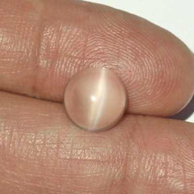 **ขายแล้ว**มูนสโตนตาแมว หรือ มุกดาหารตาแมว (Cat's eye Moonstone) 3.10 กะรัต สีขาว เนื้อเนียน รูปกลม