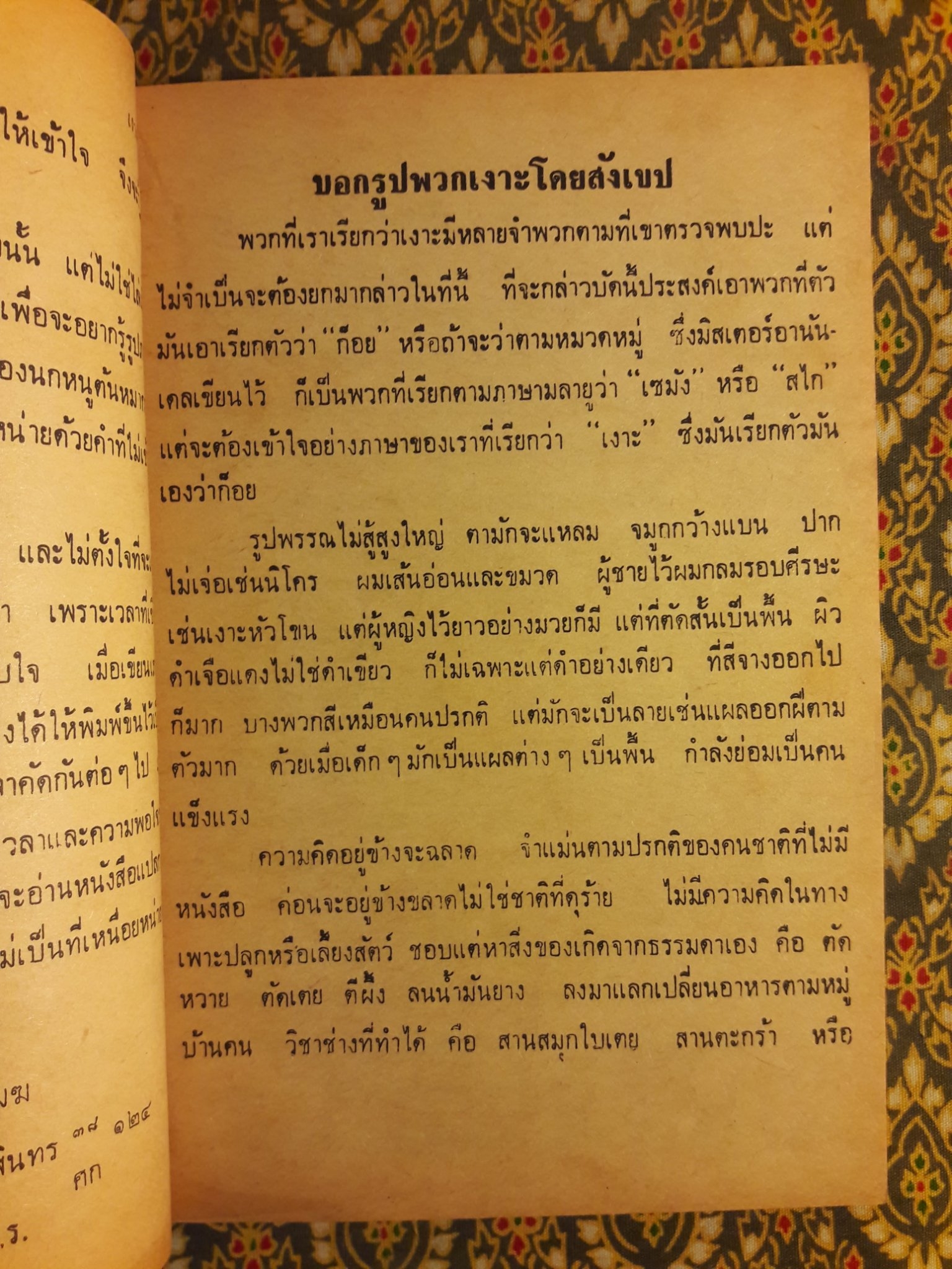 เงาะป่า