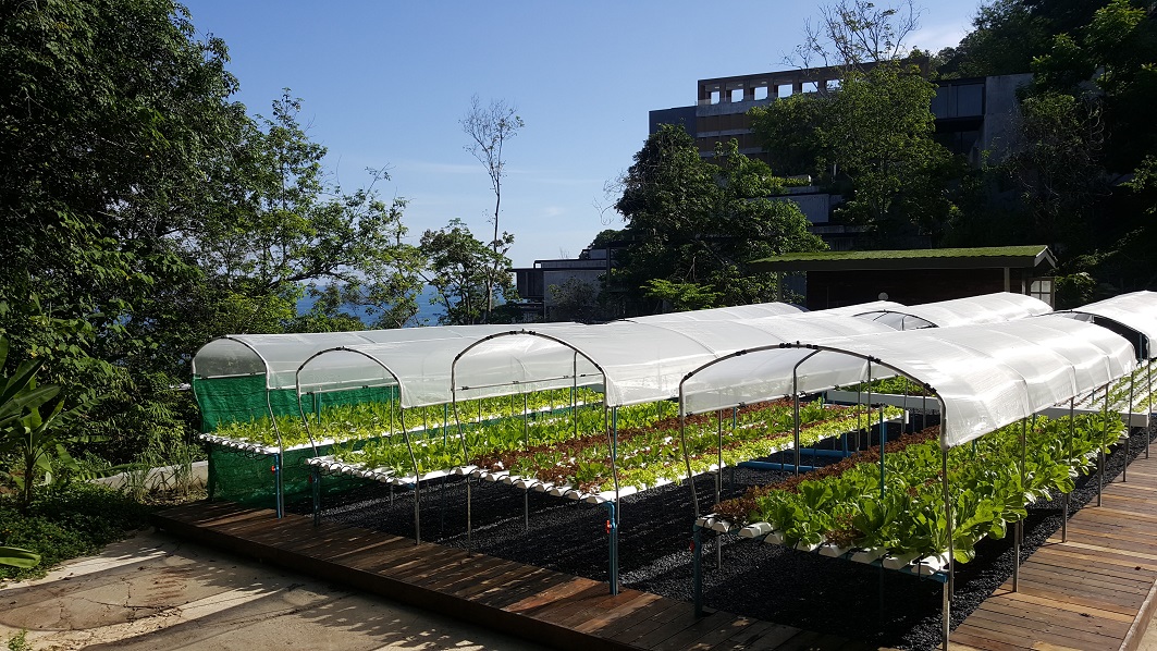 เดอะ นาคา ภูเก็ต