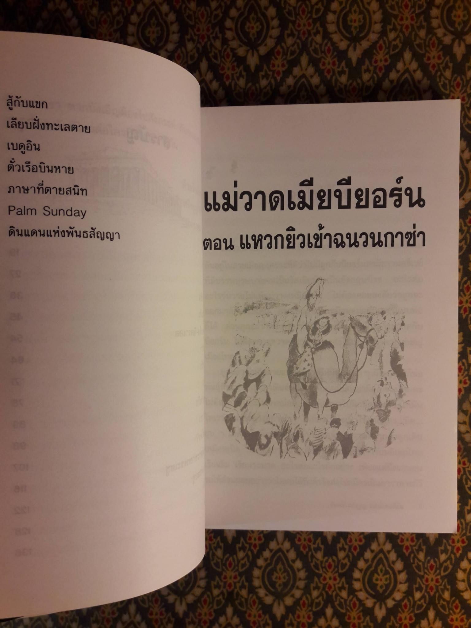 แม่วาดเมียบียอร์น ตอนแหวกยิวเข้าฉนวนกาซ่า