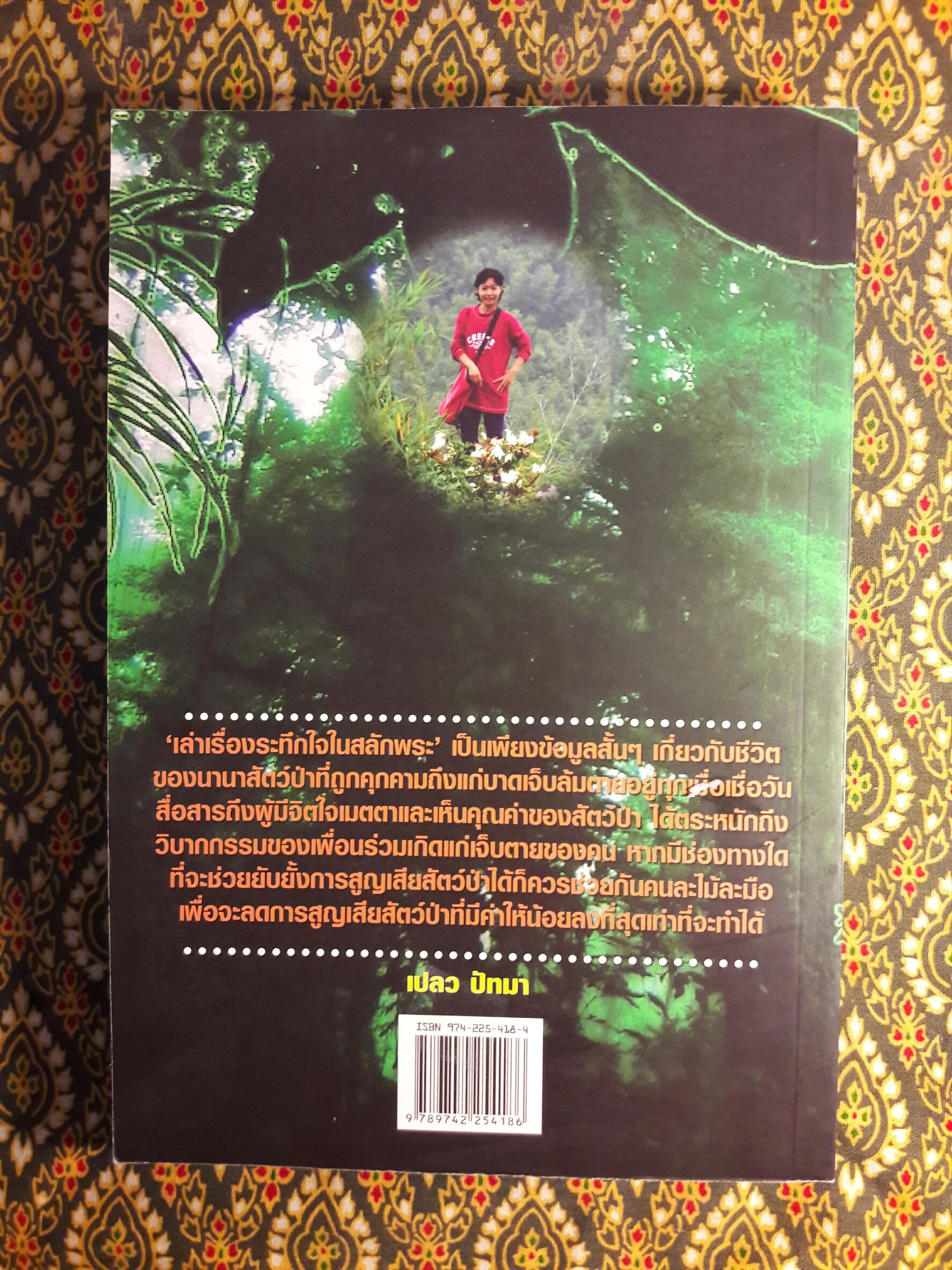 เล่าเรื่องระทึกใจในสลักพระ