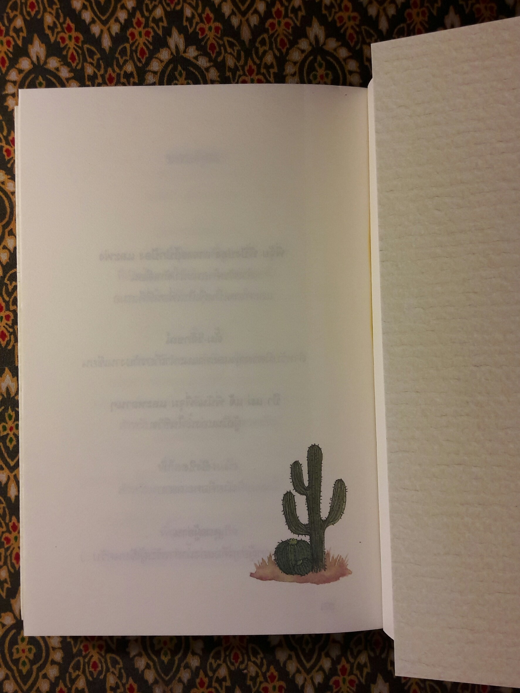 แอ่งน้ำกลางทะเลทราย