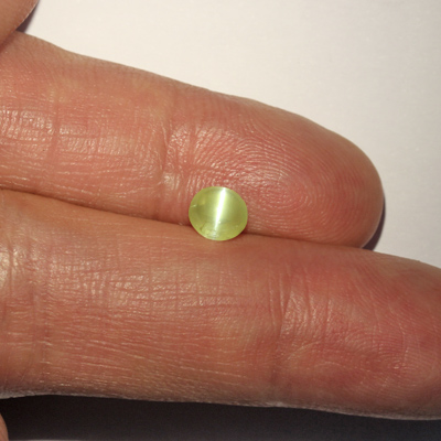 คริสโซเบริลตาแมวหรือไพฑูรย์ (Cat's eye Chrysoberyl) 1.21 กะรัต จากอินเดีย