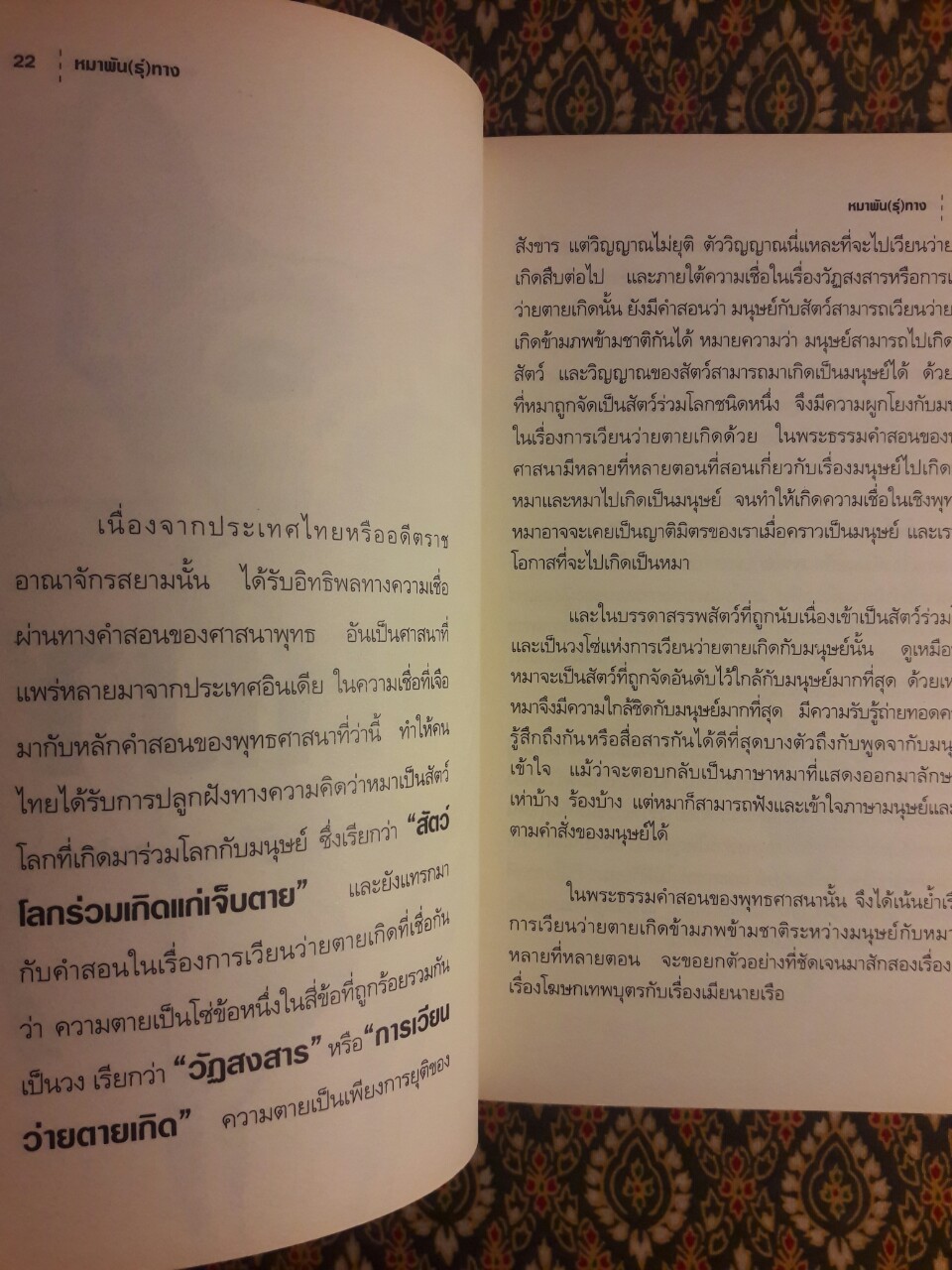 หมาพัน (ธุ์) ทาง