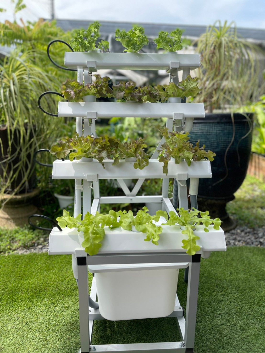 ชุดปลูกผักไฮโดรโปนิกส์แบบล้อเลื่อนขั้นบันไดขนาด 50 cm. จำนวน 4 รางปลูก(ปลูกได้ 12 ต้น)
