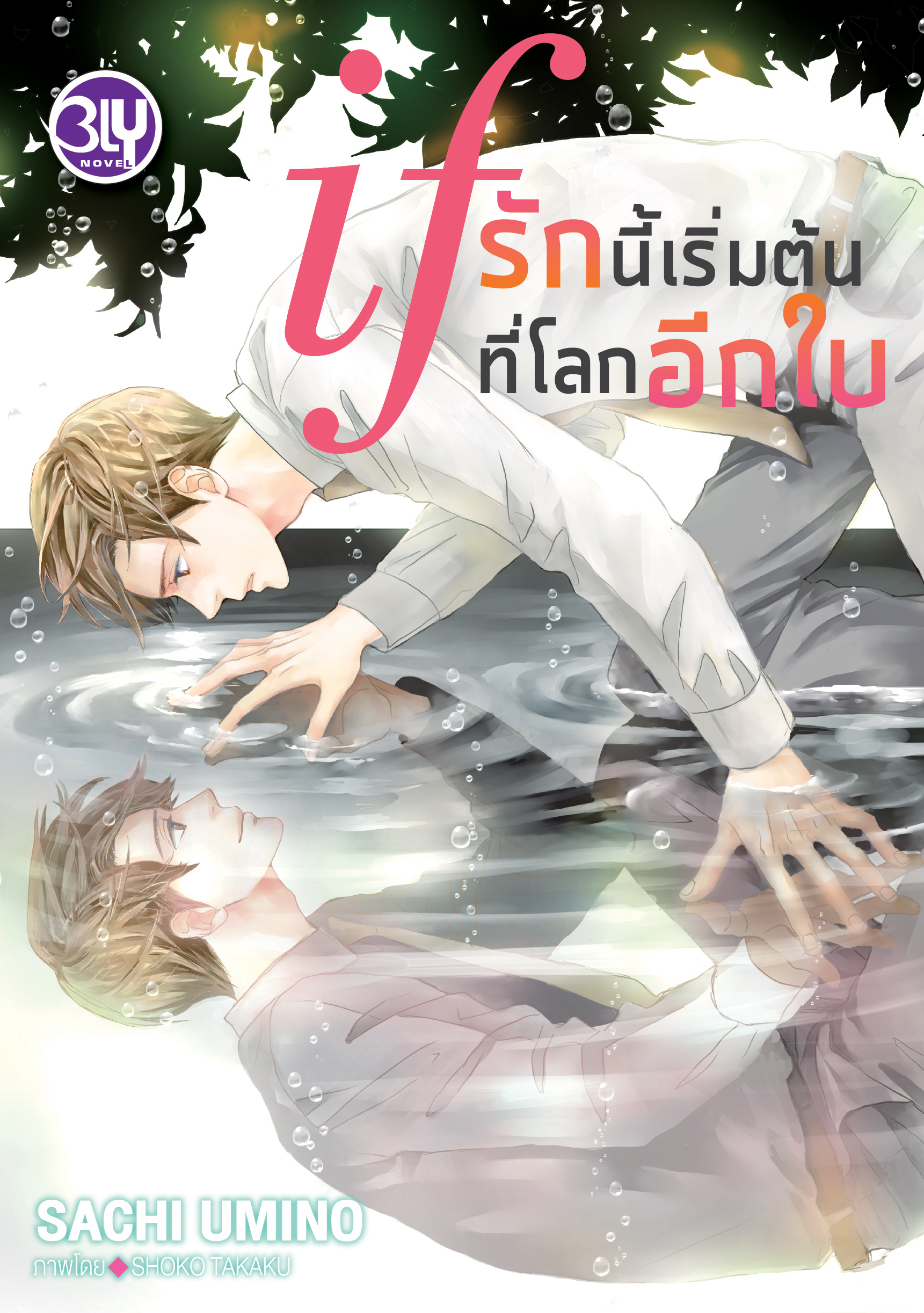 หนังสือนิยาย BLY เรื่อง if รักนี้เริ่มต้นที่โลกอีกใบ (เล่มเดียวจบ)