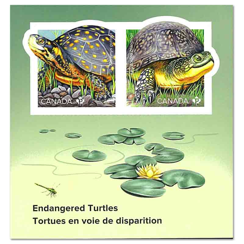 Canada Stamp, 2019 Turtles S/S