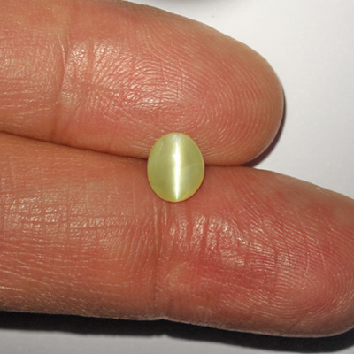 คริสโซเบริลตาแมวหรือไพฑูรย์ (Cat's eye Chrysoberyl) 1.49 กะรัต จากอินเดีย