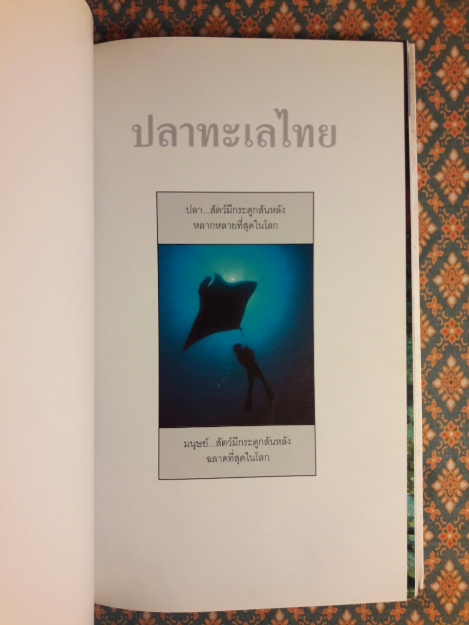 ปลาทะเลไทย เล่ม 1 “พร้อมซีดี”