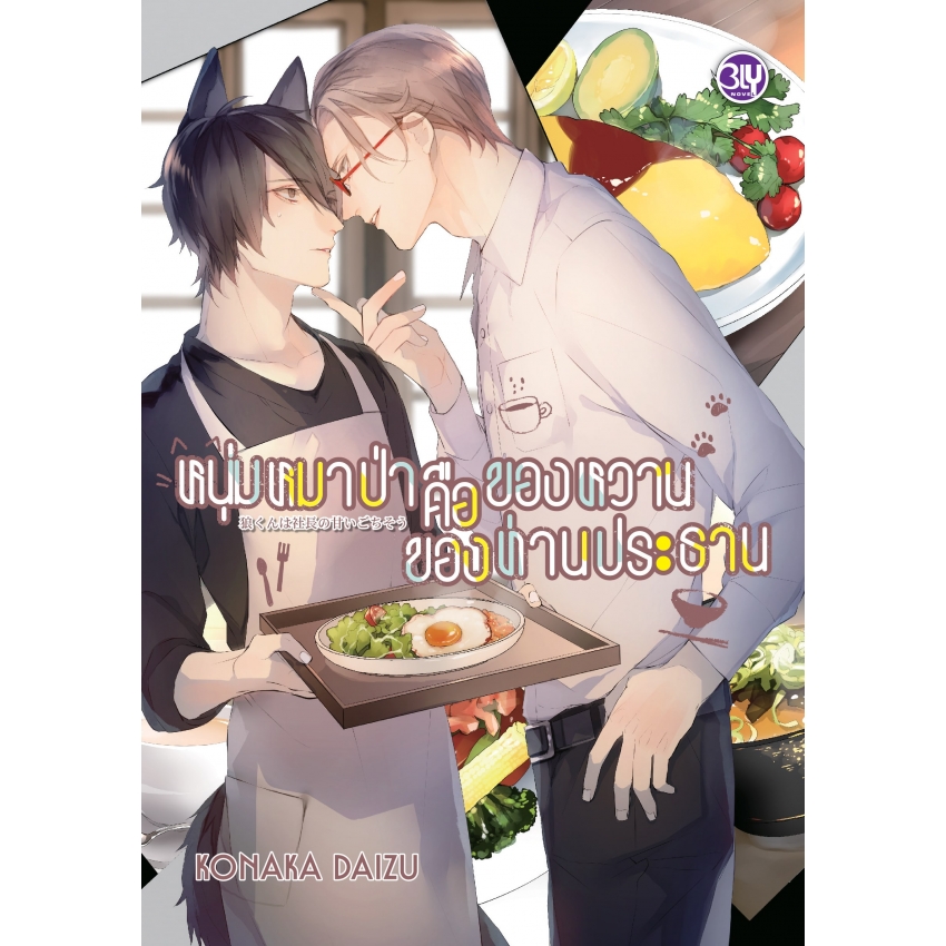 หนังสือนิยาย BLY เรื่อง หนุ่มหมาป่าคือของหวานของท่านประธาน