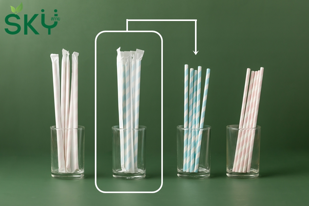 SKY [แพ็คห่อพลาสติก 100ชิ้น] สีฟ้าริ้วขาว หลอดเยื่อกระดาษธรรมชาติ - ห่อซองกระดาษแยกชิ้น