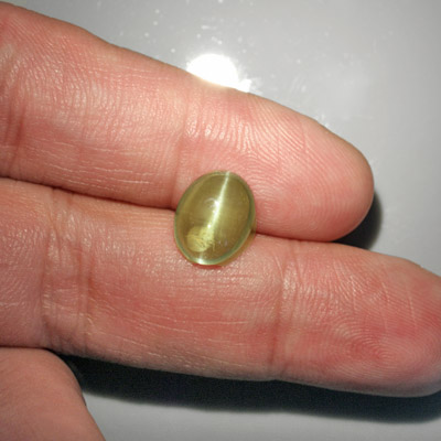 อะพาไทท์ตาแมว (Cat's eye Apatite) 4.47 กะรัต เนื้อใส สีเขียวอมเหลือง รูปไข่ รูปร่างดี