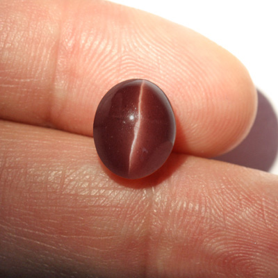 **ขายแล้ว**สคาโพไลท์ตาแมว (Cat's eye Scapolite) 5.63 กะรัต สีเลือดหมู ตาคม