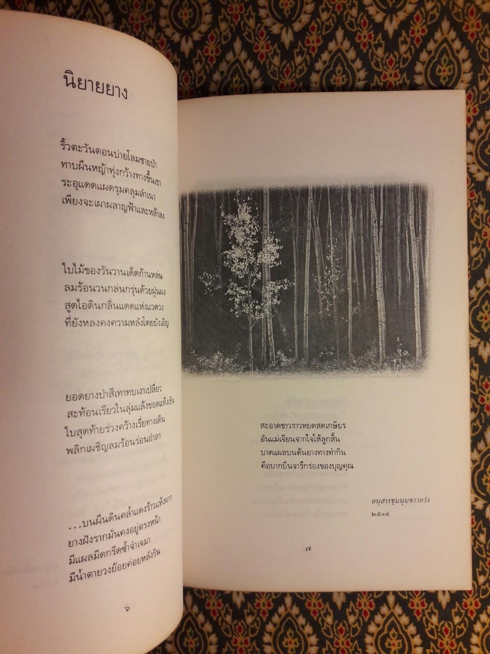 ใบไม้ที่หายไป “หนังสือรางวัลซีไรต์, หนังสือดี 100 เล่ม ที่เด็กและเยาวชนไทยควรอ่าน, 100 หนังสือดี 14 ตุลา”