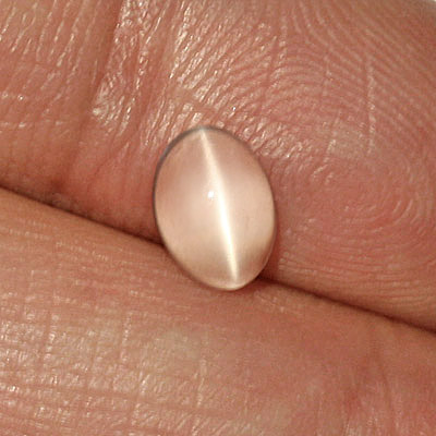**ขายแล้ว**มูนสโตนตาแมว หรือ มุกดาหารตาแมว (Cat's eye Moonstone) 0.90 กะรัต สีขาว รูปไข่ เล็กๆน่ารัก