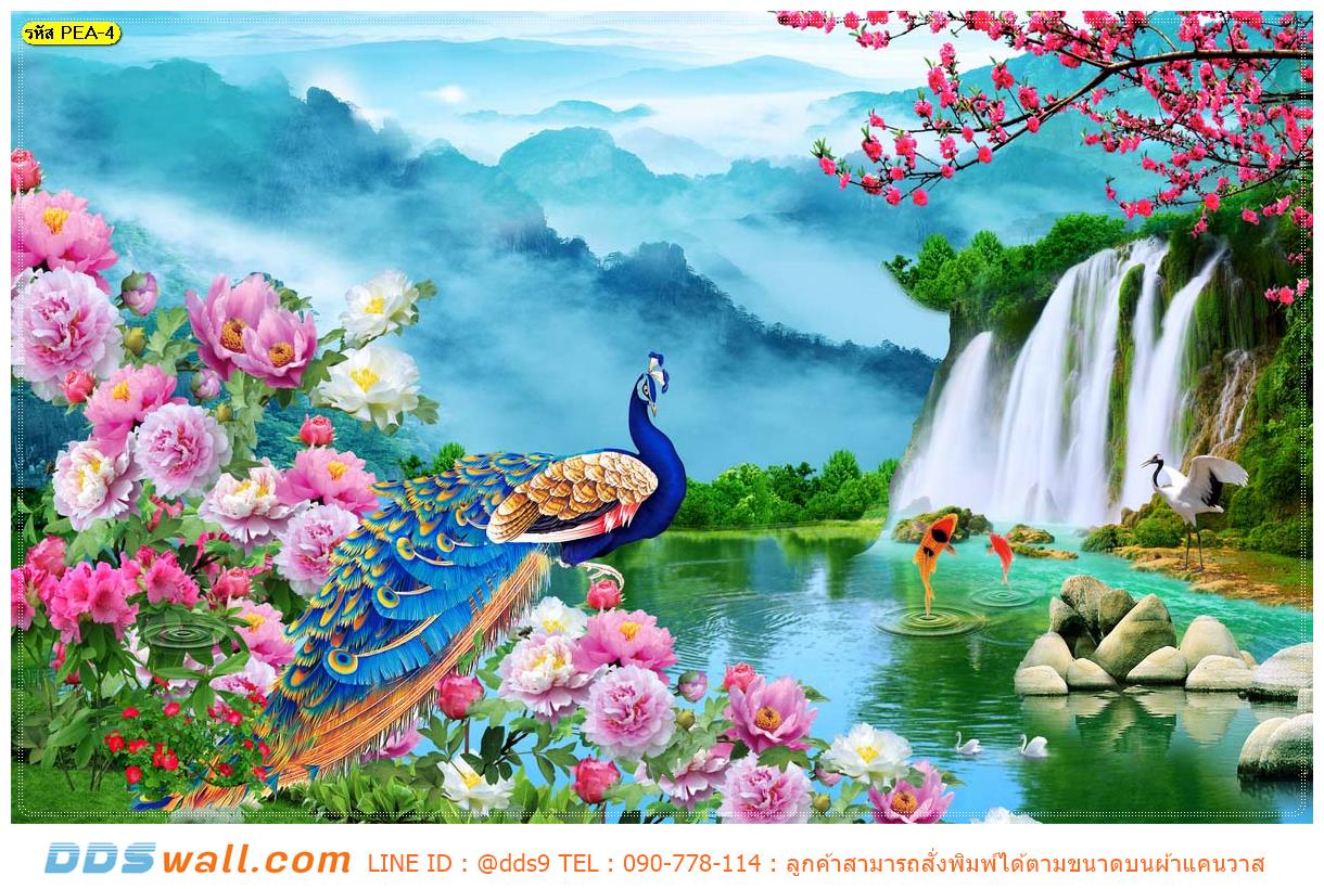 วอลเปเปอร์พิมพ์ลายนกยูงในสวนน้ำตก ตกแต่งบ้าน จิบชายามเช้า พร้อมภาพวิวเข้ากับบรรยากาศจีน