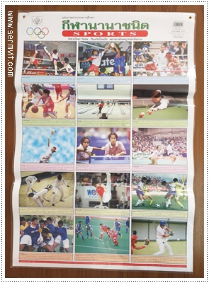 โปสเตอร์ กีฬานานาชนิด