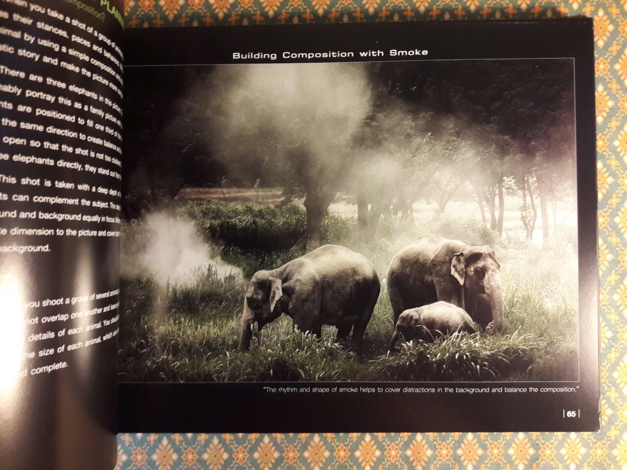 คิดก่อนถ่าย Thinking Before Shooting