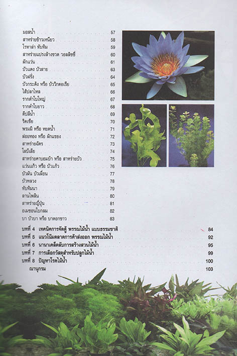 การปลูกและดูแลรักษา พรรณไม้น้ำ