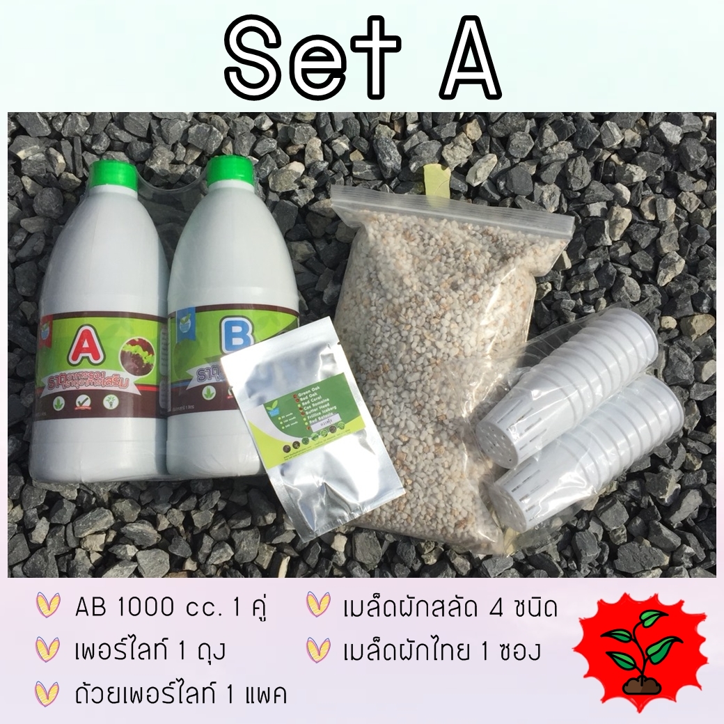 SET A