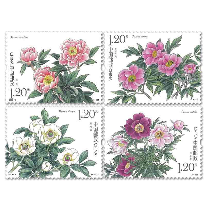 China Stamp, 2019 Chinese Herbaceous Peony