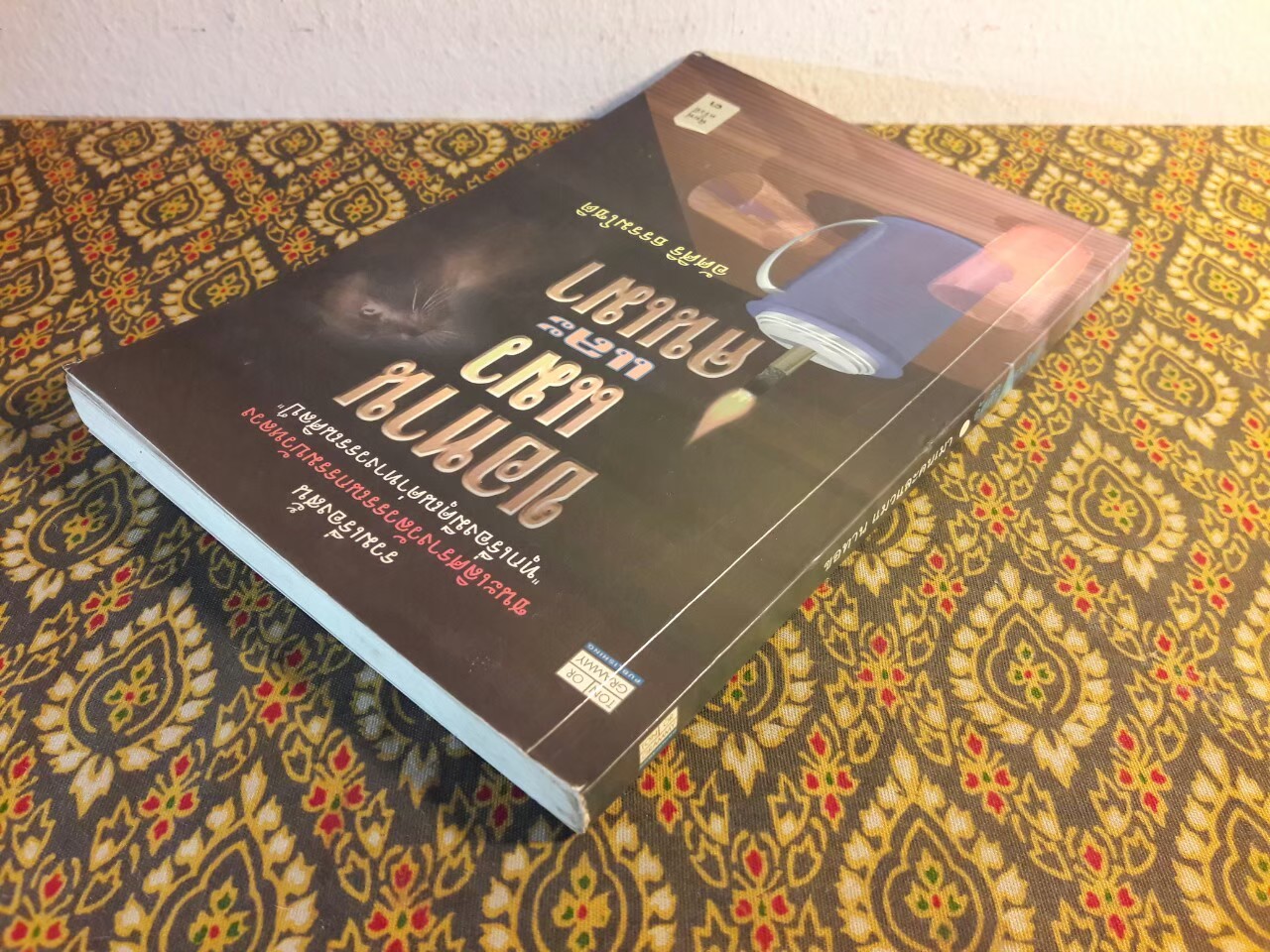 ขอทาน แมว และคนเมา