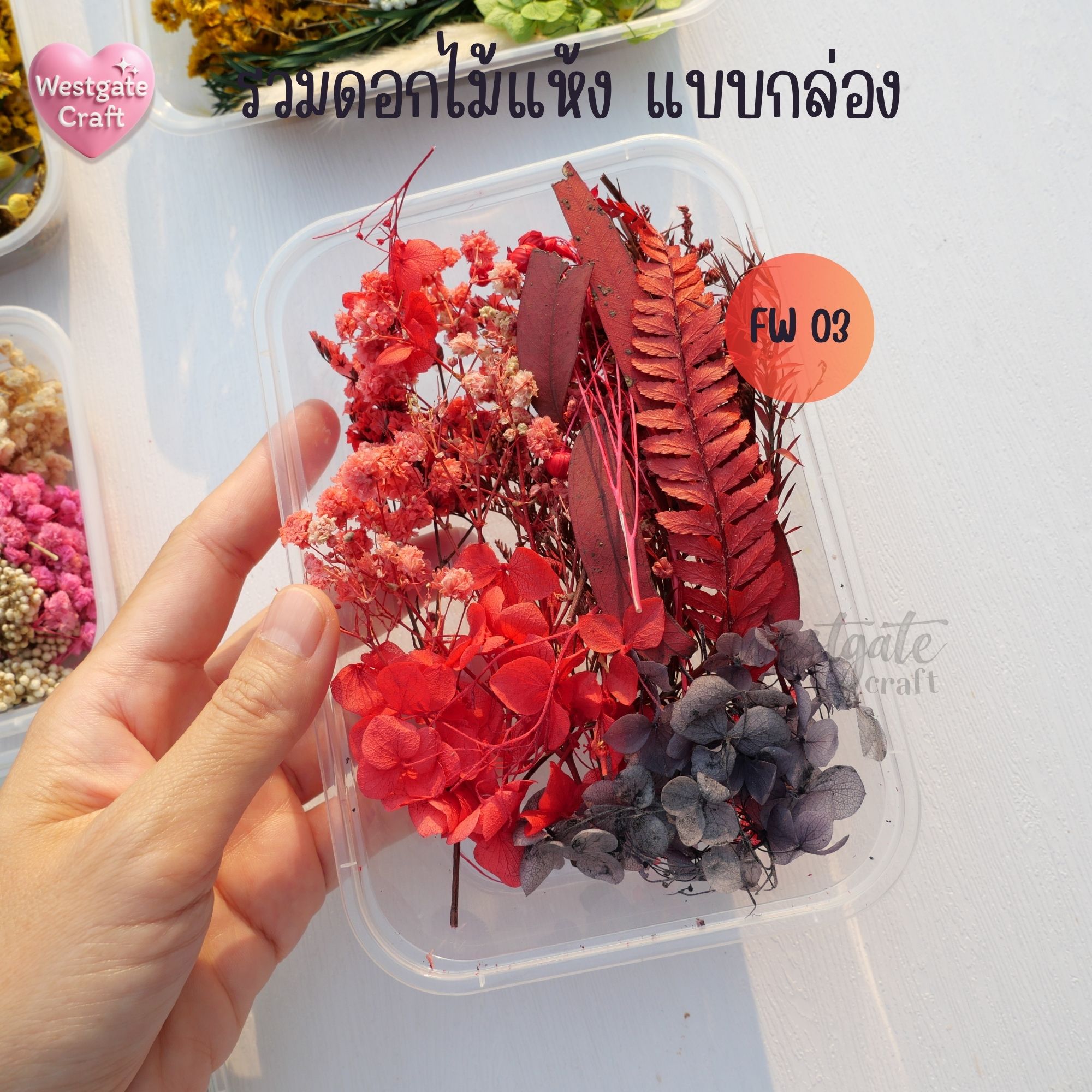 รวมดอกไม้แห้ง แบบกล่อง คละขนาด FW 01-09 , ดอกไม้แห้งจริง