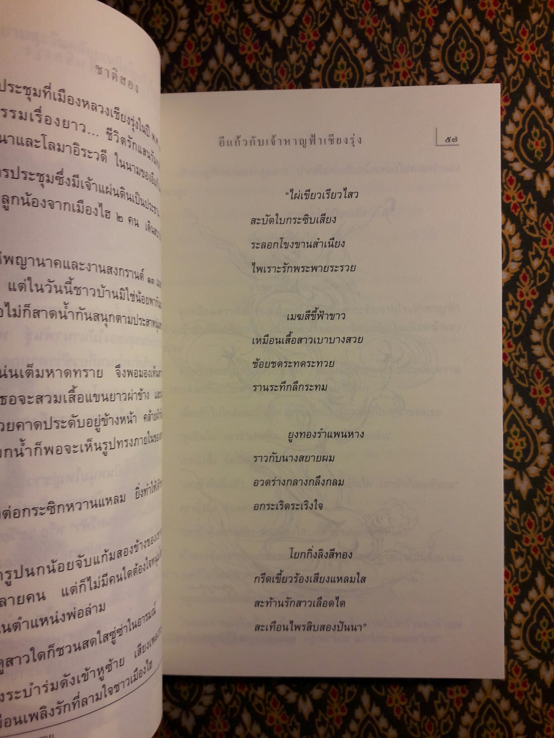 นางนวลสิบสองปันนา โลมาอิระวดี