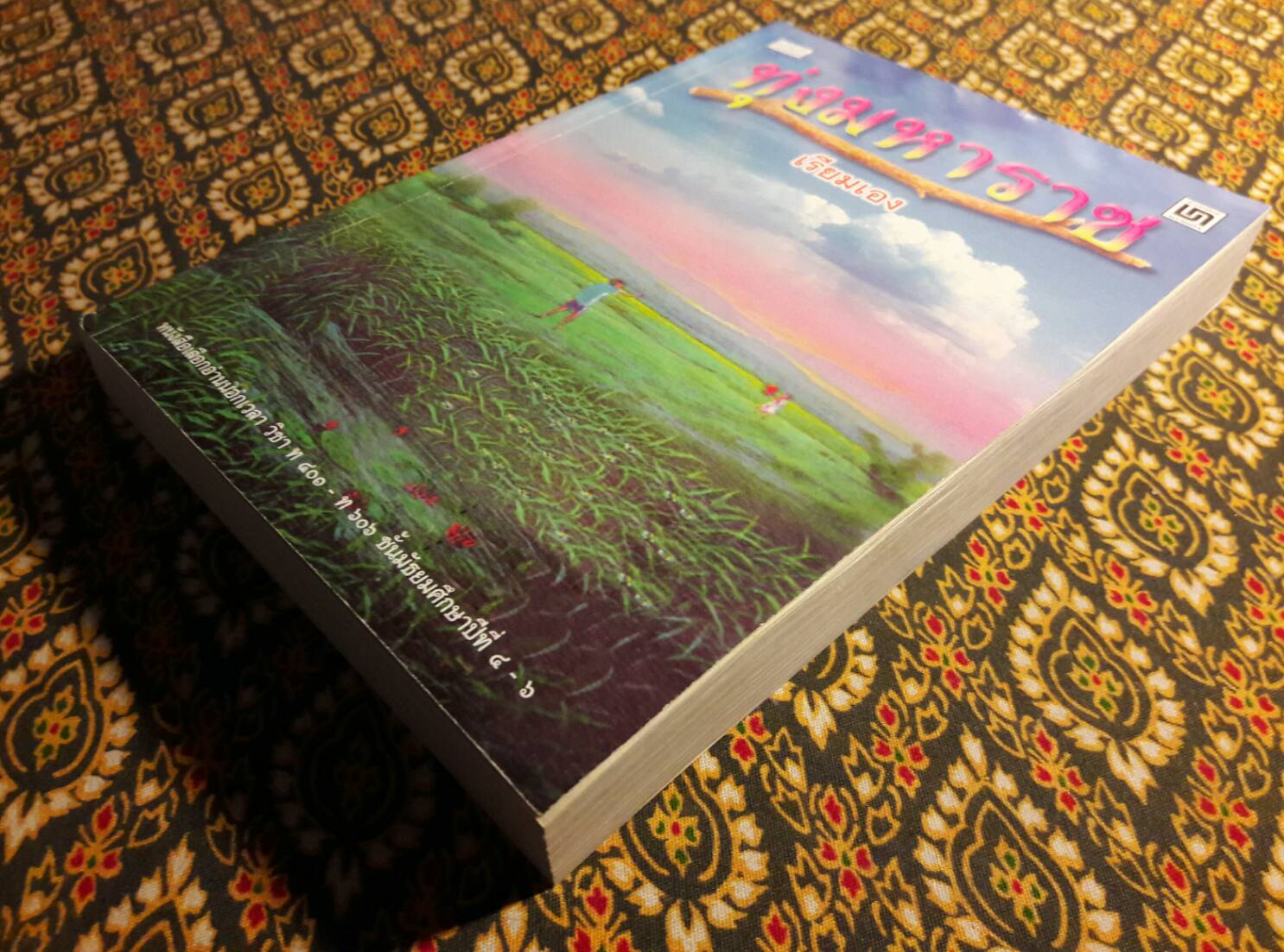 ทุ่งมหาราช “หนังสือดี 100 เล่มที่คนไทยควรอ่าน”