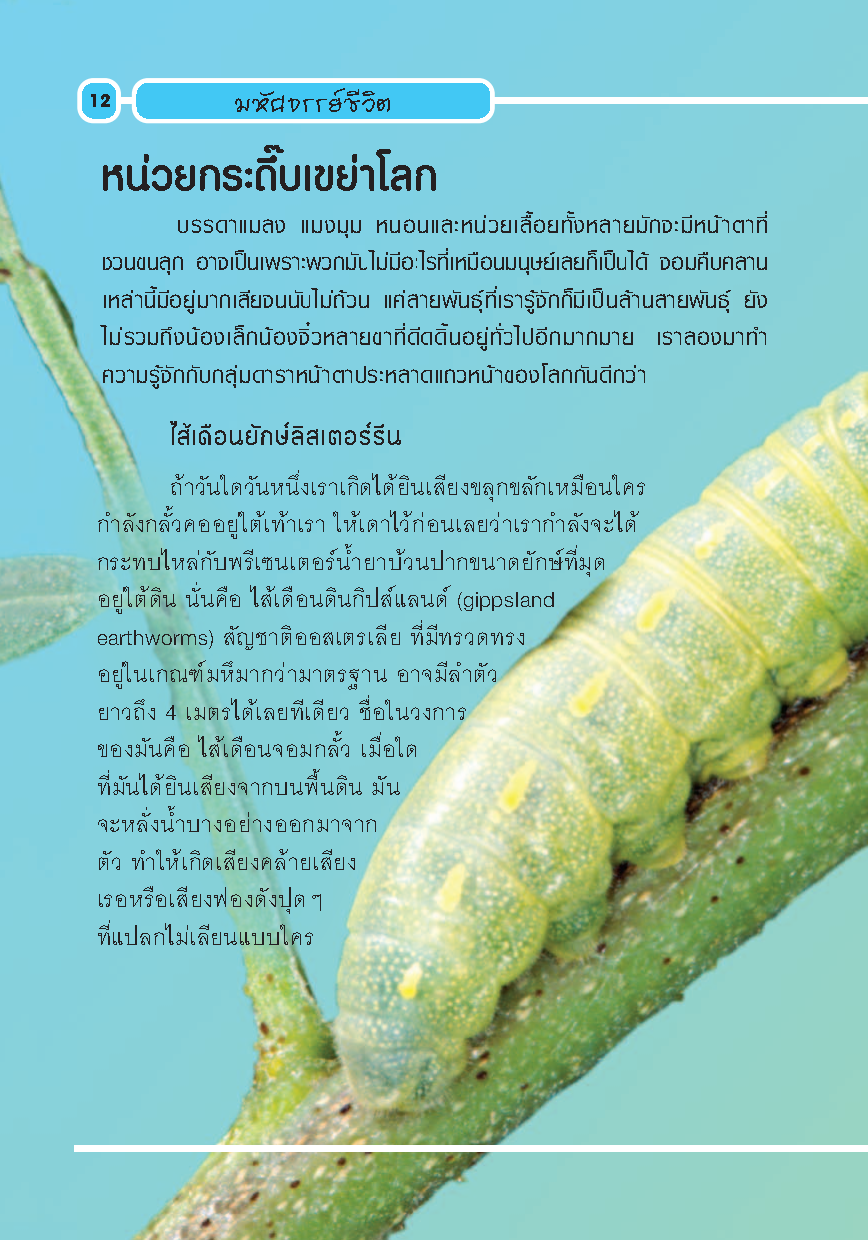 Expernet หนังสือ อย่างนี้ก็มีด้วย [ *** มีตำหนิ *** ] : ปรากฏการณ์พิสดารพันลึกที่เกิดขึ้นแล้วจริงๆบนโลกใบนี้ พร้อมการทดลองวิทยาศาสตร์ที่ทำให้คุณต้องอึ้ง