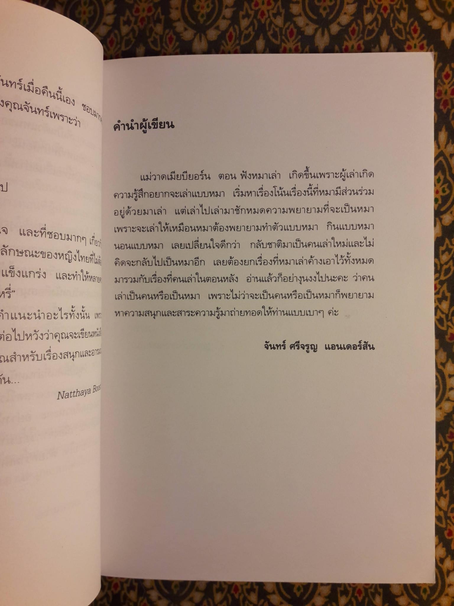 แม่วาดเมียบียอร์น ตอนฟังหมาเล่า