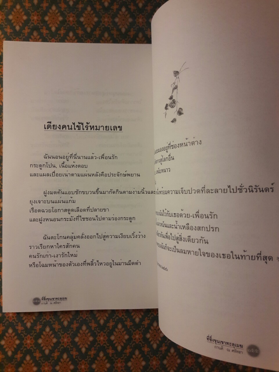 ที่ซึ่งขุนเขาทะลุเมฆ
