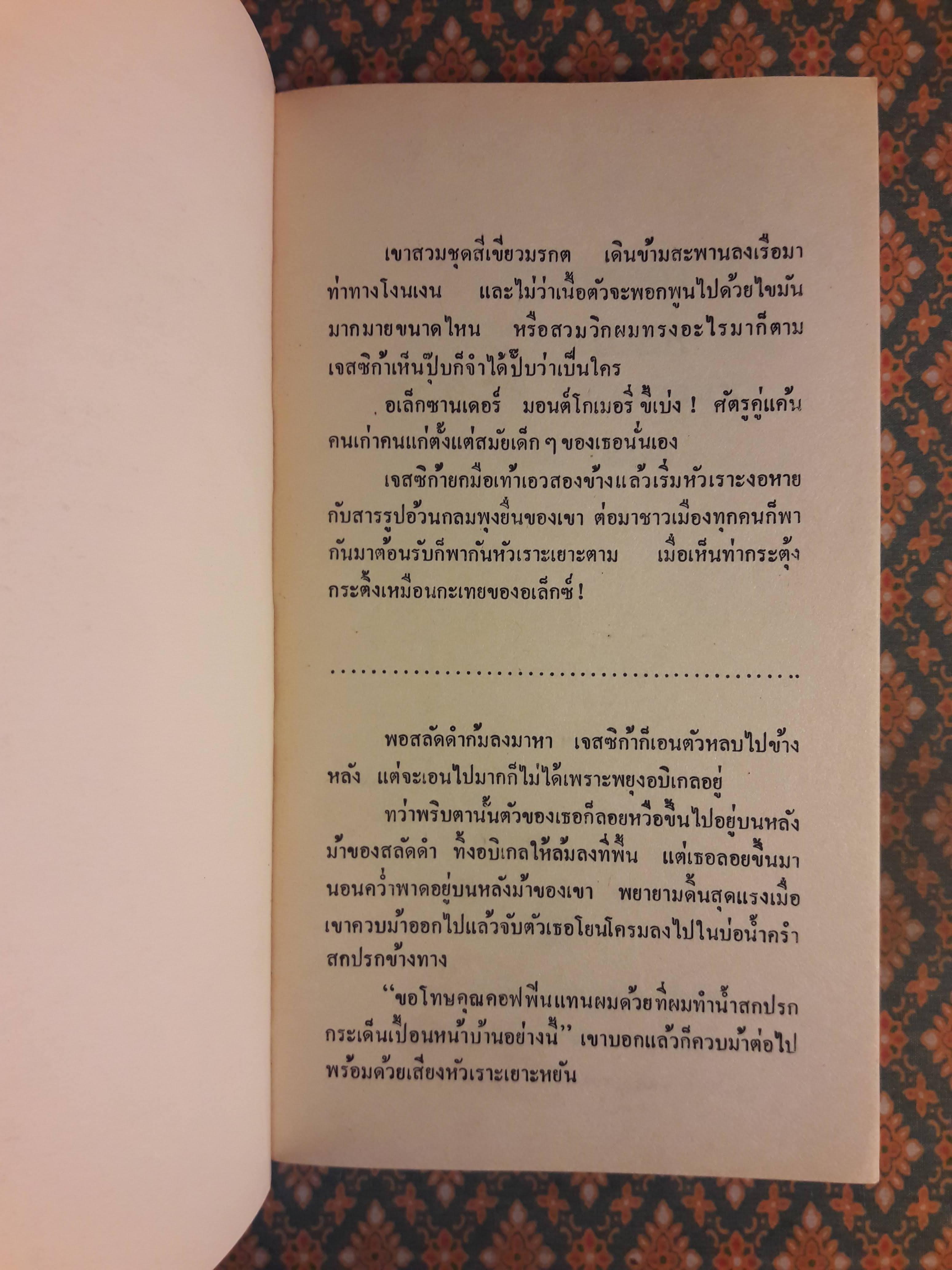 จอมโจรสลัดดำ THE RAIDER