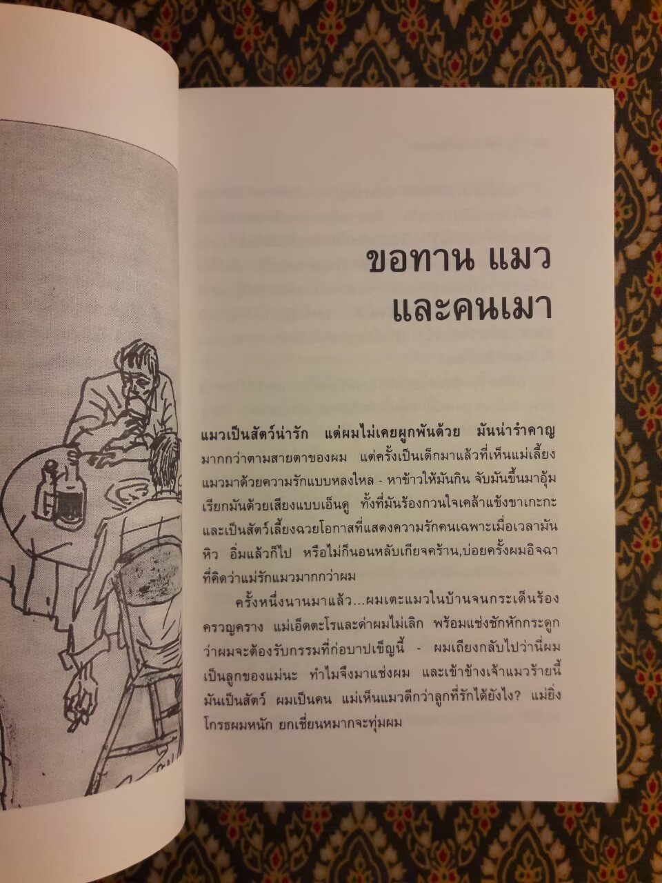 ขอทาน แมว และคนเมา