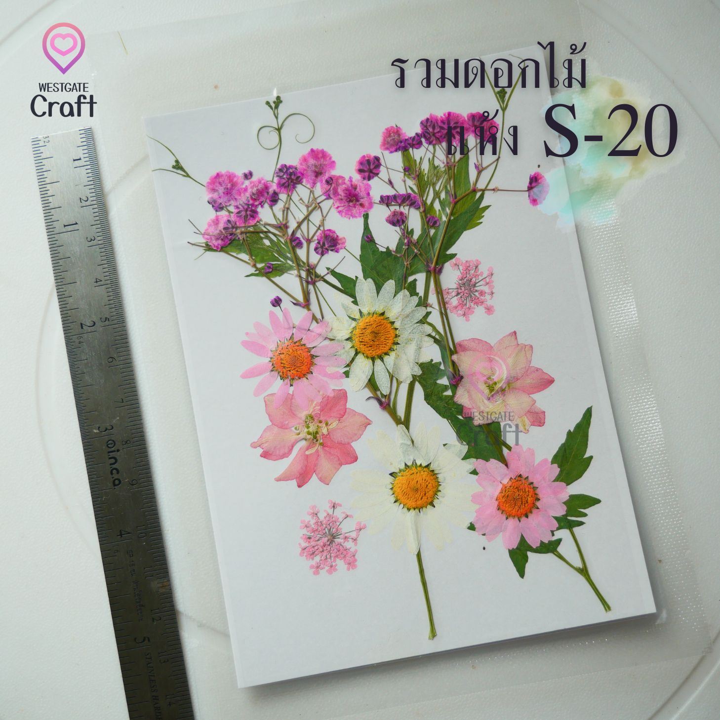 รวมดอกไม้แห้ง S ดอกไม้แห้งทับ ดอกไม้แบบคละ