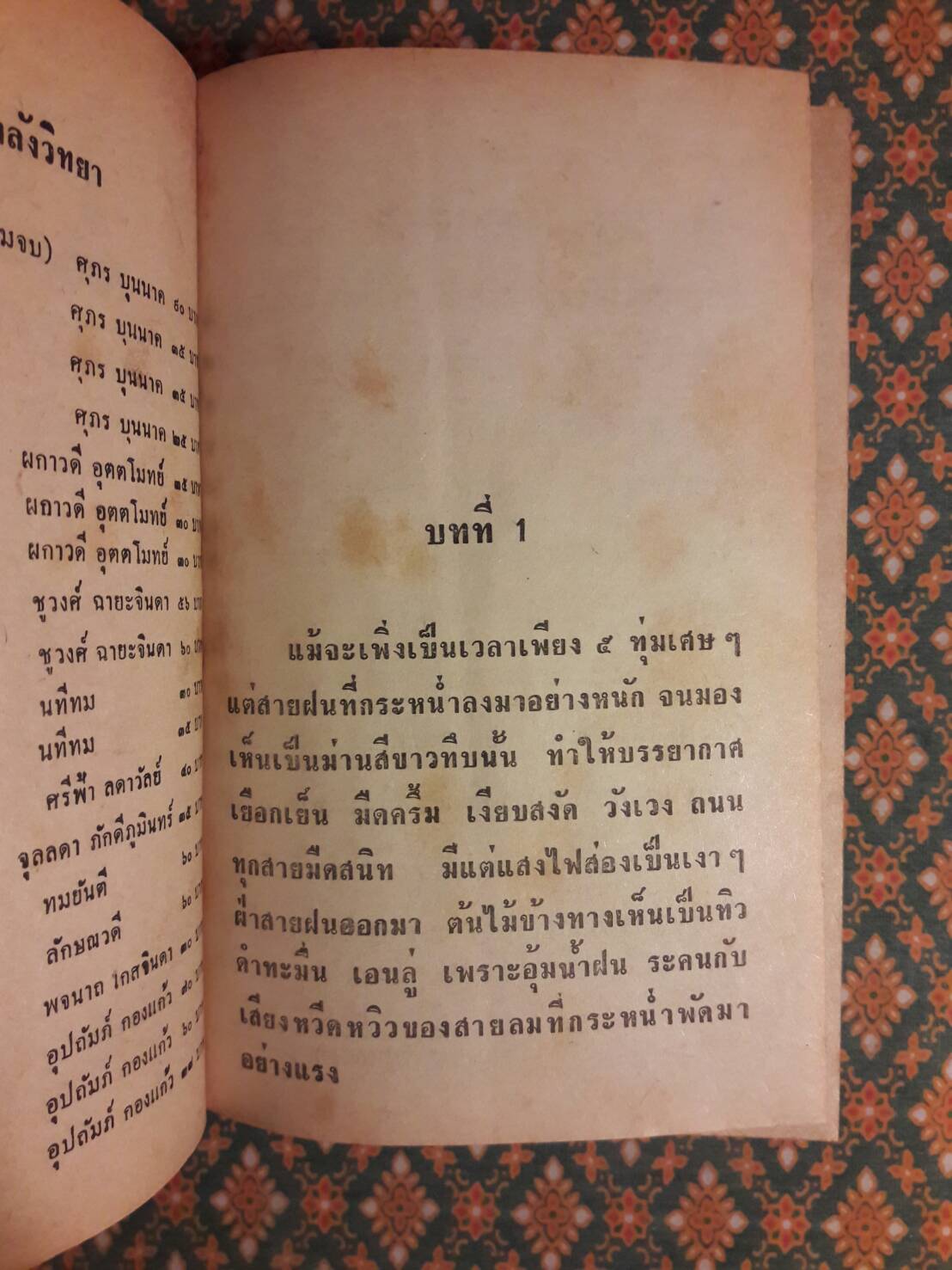 เงา (2 เล่มจบ)