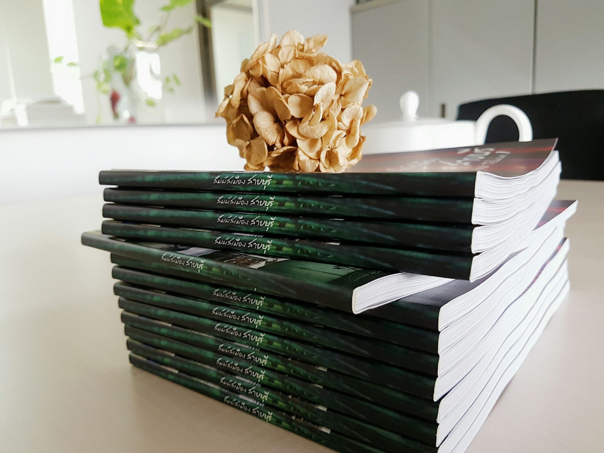 สัมผัส เมืองสายบุรี (Waso Telubae)