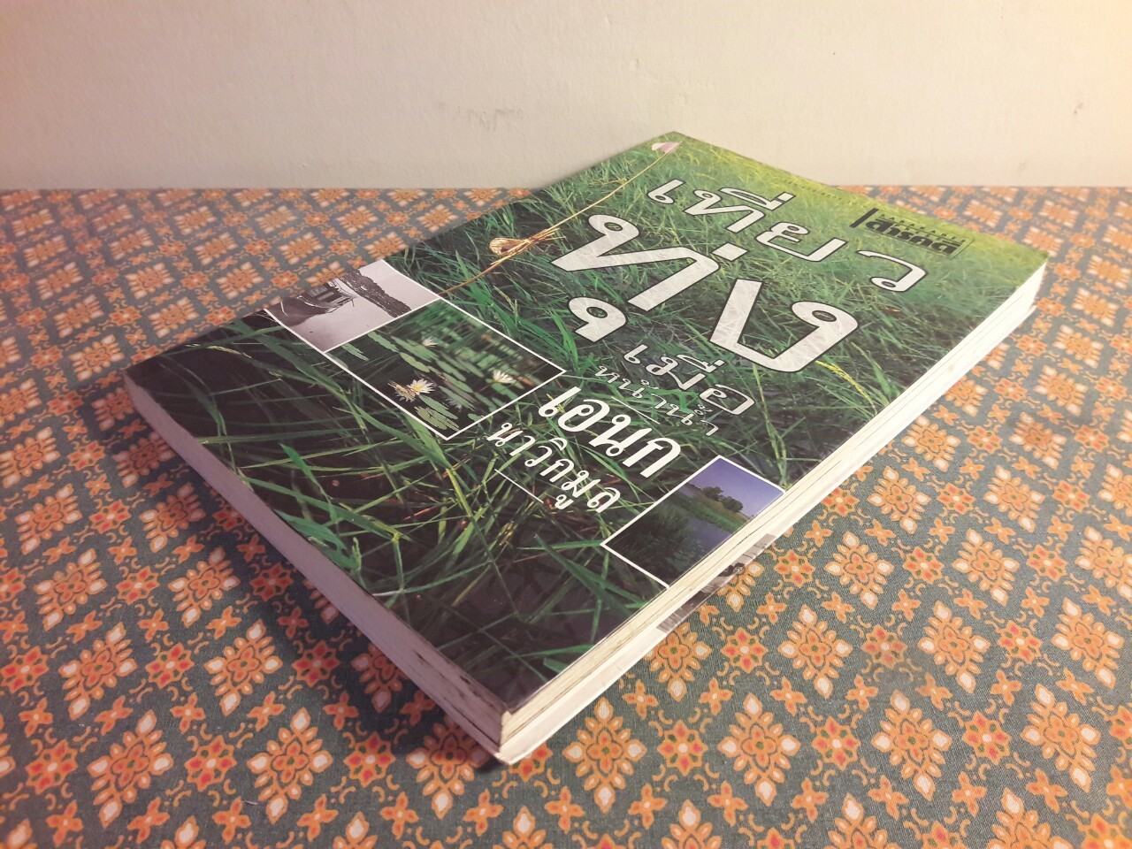 เที่ยวทุ่งเมื่อหน้าน้ำ