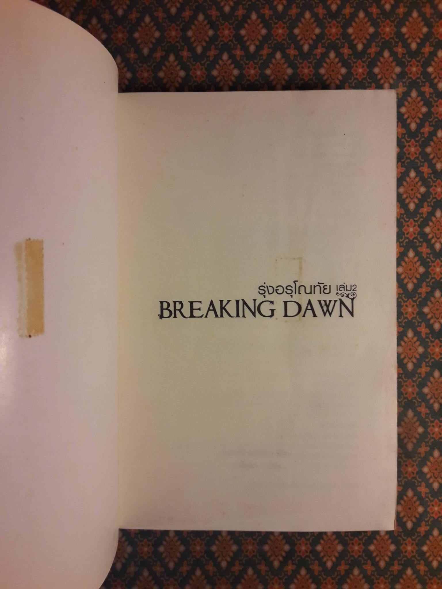 รุ่งอรุโณทัย Breaking Down (เล่ม 2)