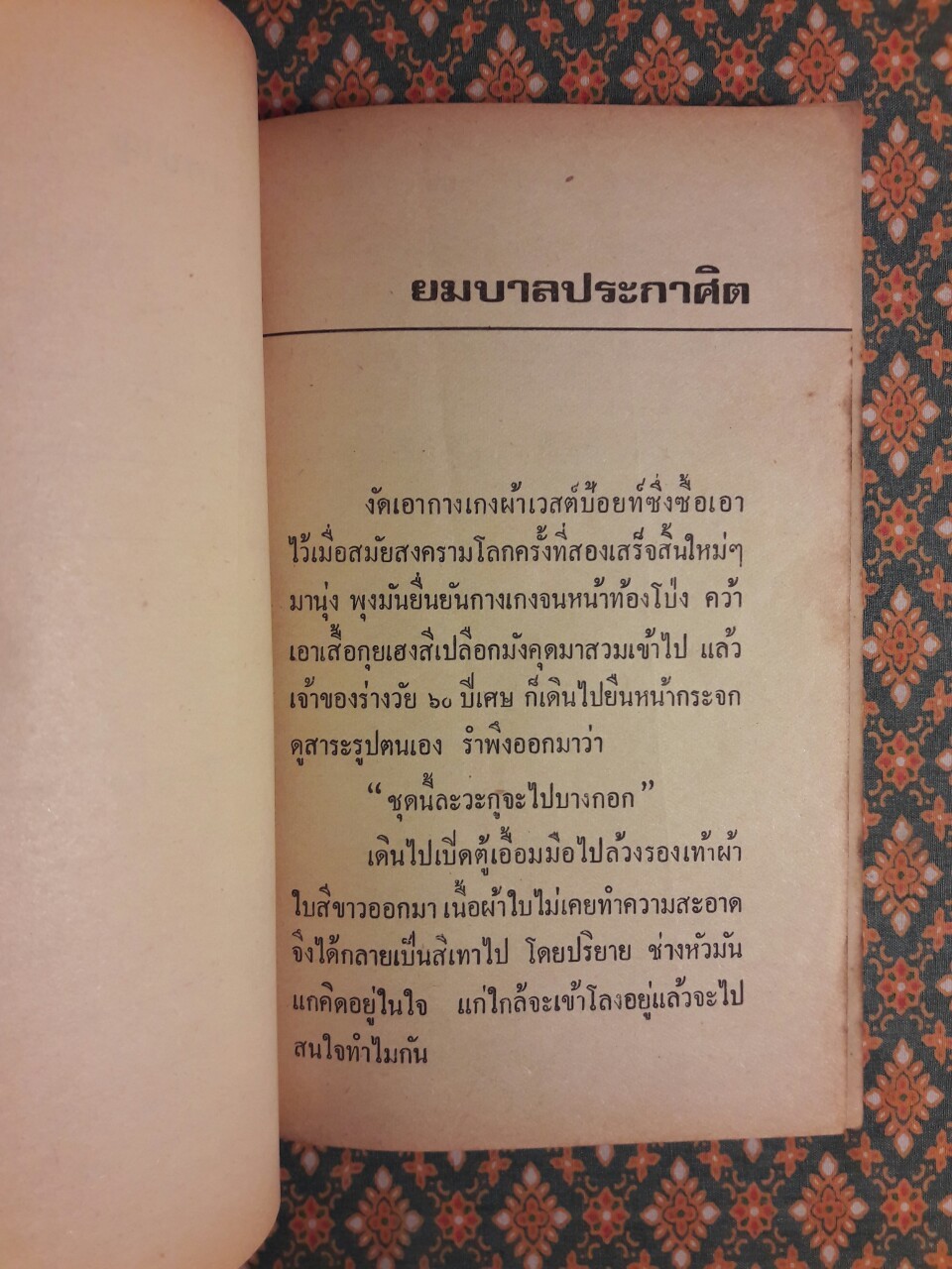 ตำรวจผีผี