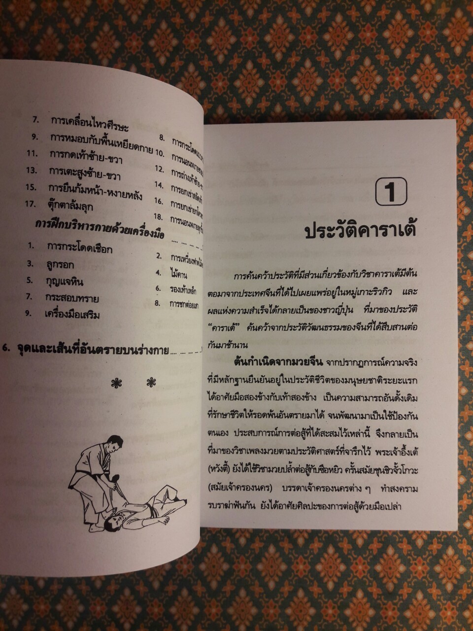 ตำราฝึกวิชาคาราเต้ กังฟู