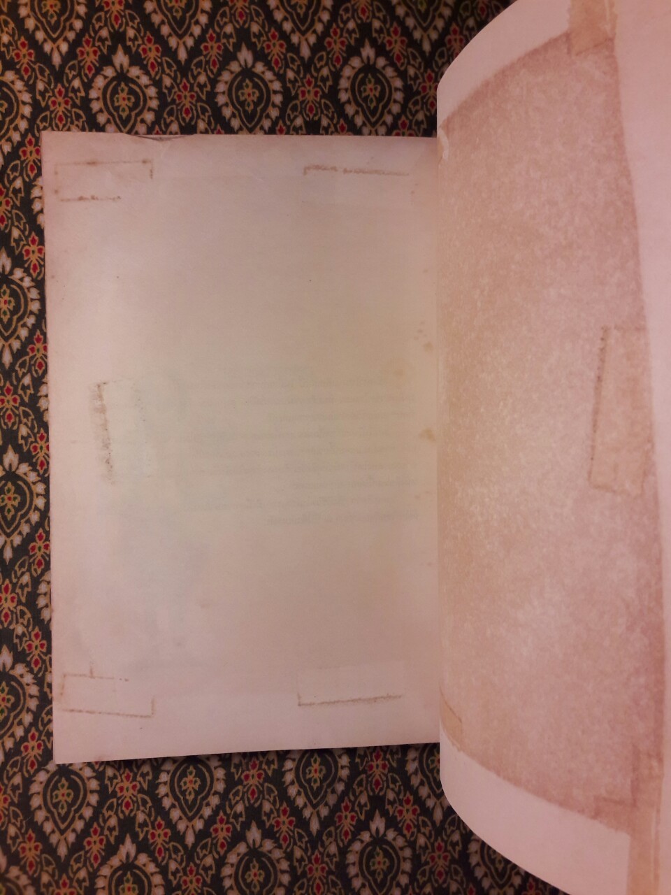 สิ่งมีชีวิตในโรงแรม