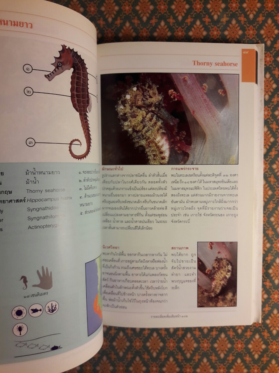 ปลาทะเลไทย เล่ม 1 “พร้อมซีดี”