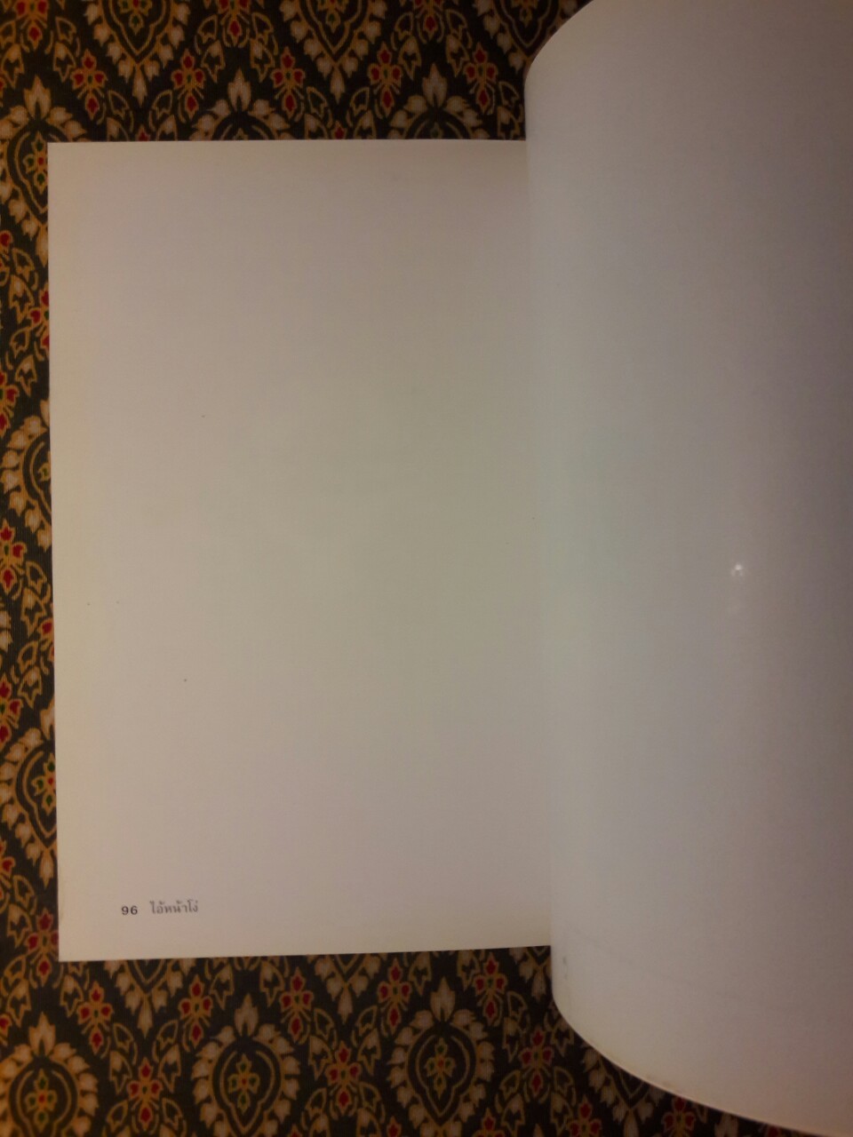 ไอ้หน้าโง่ นราธิป กาญจนวัฒน์