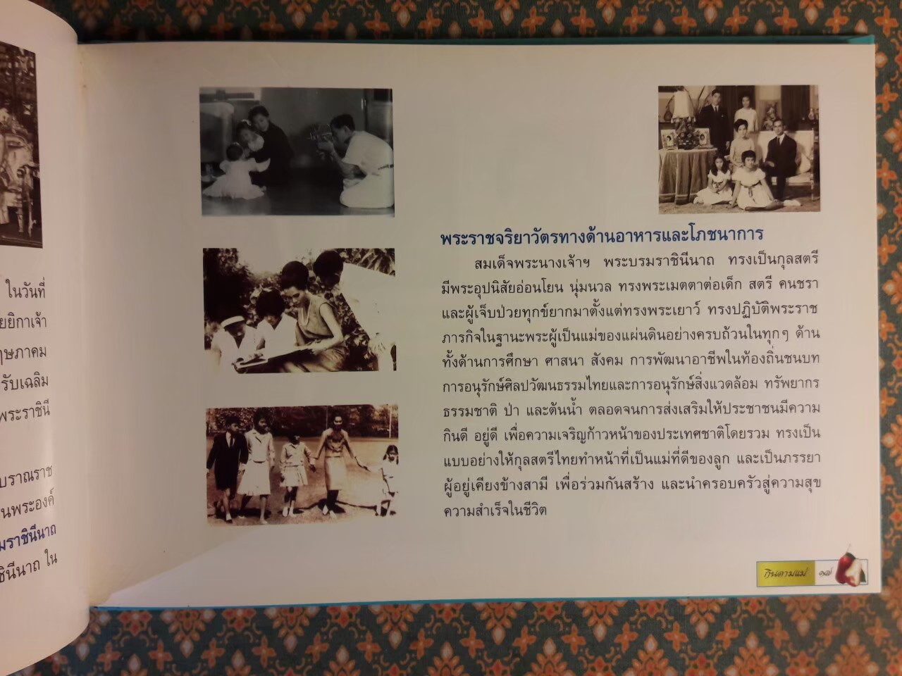 กินตามแม่