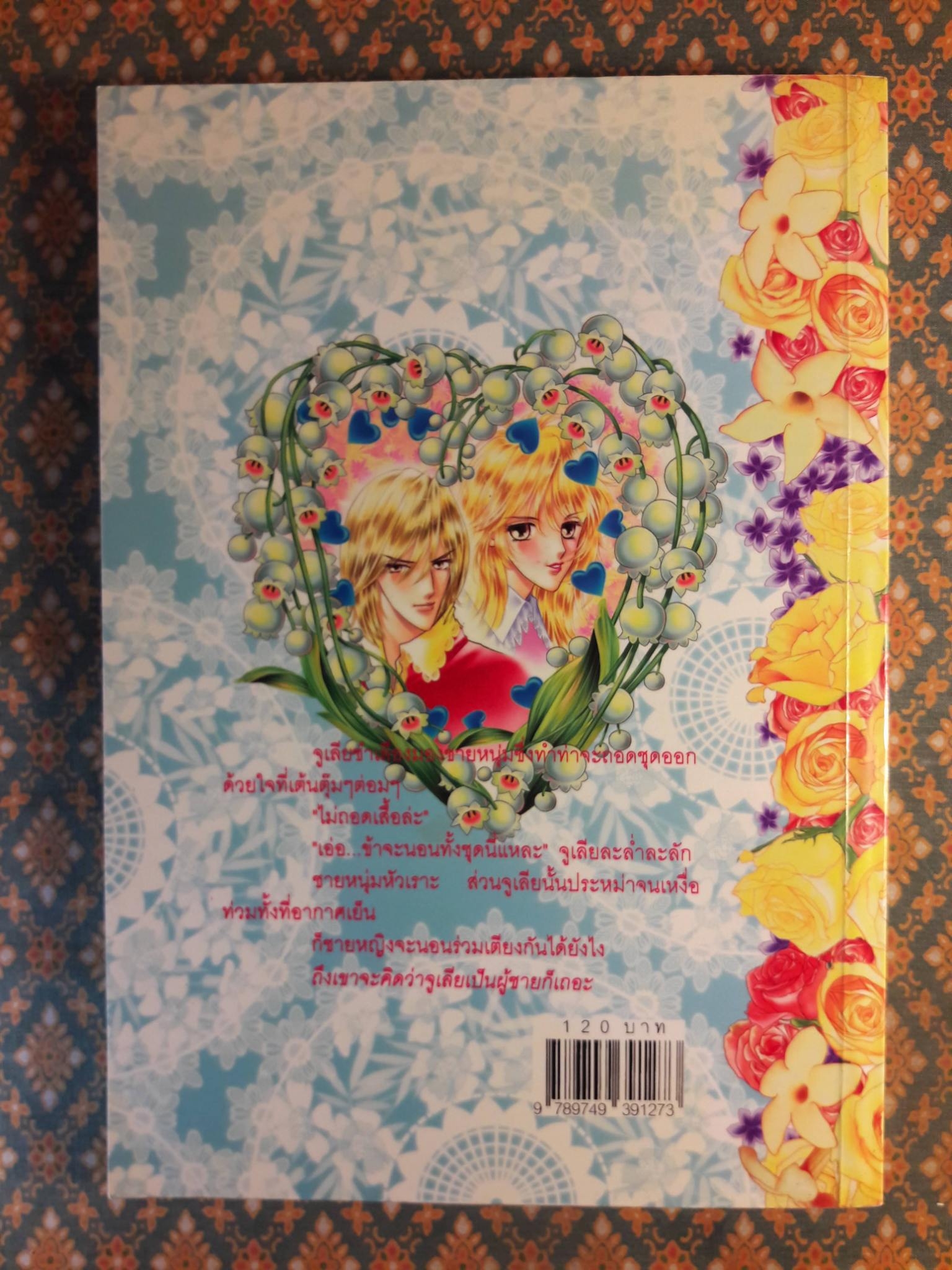 อัศวินสาวจอมแก่น