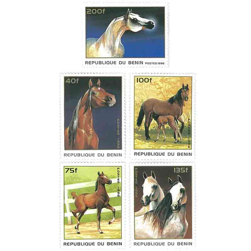Benin Stamp, 1996 Horse, Wildlife, Animals